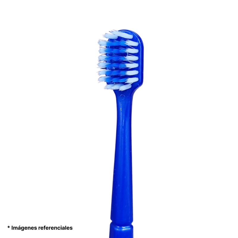 Cepillo de dientes cerdas suaves Flower Secret set de 40 unidades