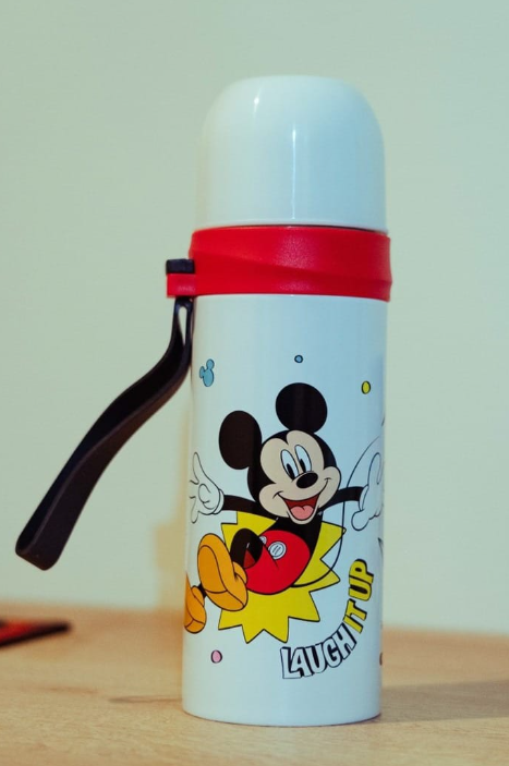 Termo Infantil Disney