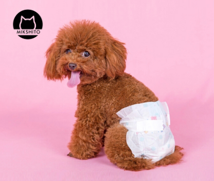 Pañal desechable para mascota Hembra Talla S